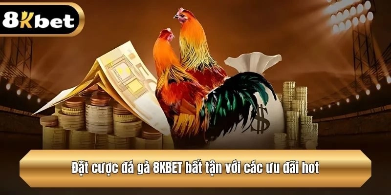 Đặt cược đá gà 8KBET bất tận với các ưu đãi hot