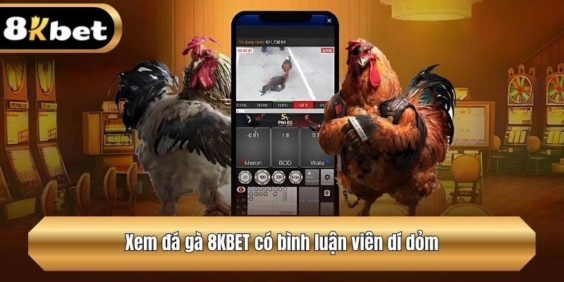 Xem đá gà 8KBET có bình luận viên dí dỏm